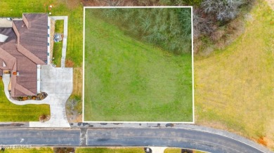 Premium Golf Course Lot in Vonore TN - Seller Financing Available on Rarity Bay Country Club - Loudon in Tennessee - for sale on GolfHomes.com, golf home, golf lot