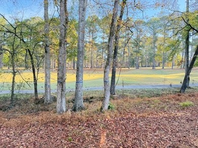 Craftsman-style home by Coldwater Homes offering exceptional on Harbor Club Golf and Country Club in Georgia - for sale on GolfHomes.com, golf home, golf lot