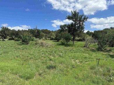 Perfect location!  Located in Horseshoe Bay Proper between on Hi on Slick Rock Golf Course - Horseshoe Bay in Texas - for sale on GolfHomes.com, golf home, golf lot