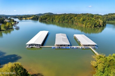 Premium Golf Course Lot in Vonore TN - Seller Financing Available on Rarity Bay Country Club - Loudon in Tennessee - for sale on GolfHomes.com, golf home, golf lot