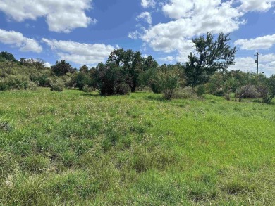 Perfect location!  Located in Horseshoe Bay Proper between on Hi on Slick Rock Golf Course - Horseshoe Bay in Texas - for sale on GolfHomes.com, golf home, golf lot