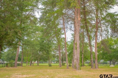 LAST ONE !!! GOLF COURSE LOT on the golf course in Hideaway on Hide-A-Way Lake Golf Course in Texas - for sale on GolfHomes.com, golf home, golf lot