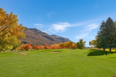 Dru English, Keller Williams Realty Southwest Associates, LLC on Dalton Ranch and Golf Club in Colorado - for sale on GolfHomes.com, golf home, golf lot