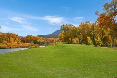 Dru English, Keller Williams Realty Southwest Associates, LLC on Dalton Ranch and Golf Club in Colorado - for sale on GolfHomes.com, golf home, golf lot