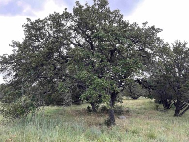 Hill County's Finest - Horseshoe Bay! Nice level lot ready to on Slick Rock Golf Course - Horseshoe Bay in Texas - for sale on GolfHomes.com, golf home, golf lot