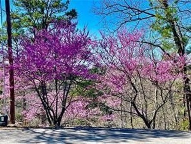 This exquisite custom home features breathtaking views of miles on Holiday Island Golf Course in Arkansas - for sale on GolfHomes.com, golf home, golf lot