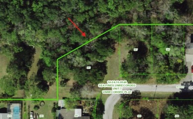 HERE IT IS! Your chance to build your DREAM HOME on a BEAUTIFUL on Sea Pines Golf Club in Florida - for sale on GolfHomes.com, golf home, golf lot