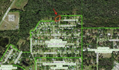 HERE IT IS! Your chance to build your DREAM HOME on a BEAUTIFUL on Sea Pines Golf Club in Florida - for sale on GolfHomes.com, golf home, golf lot