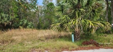 HERE IT IS! Your chance to build your DREAM HOME on a BEAUTIFUL on Sea Pines Golf Club in Florida - for sale on GolfHomes.com, golf home, golf lot