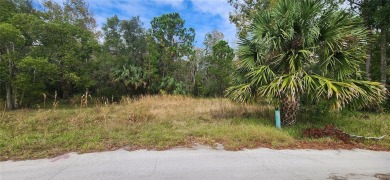 HERE IT IS! Your chance to build your DREAM HOME on a BEAUTIFUL on Sea Pines Golf Club in Florida - for sale on GolfHomes.com, golf home, golf lot