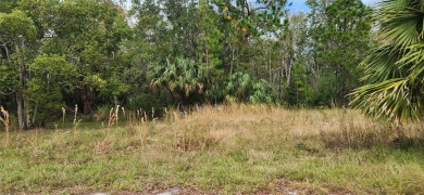 HERE IT IS! Your chance to build your DREAM HOME on a BEAUTIFUL on Sea Pines Golf Club in Florida - for sale on GolfHomes.com, golf home, golf lot