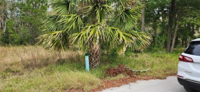 HERE IT IS! Your chance to build your DREAM HOME on a BEAUTIFUL on Sea Pines Golf Club in Florida - for sale on GolfHomes.com, golf home, golf lot