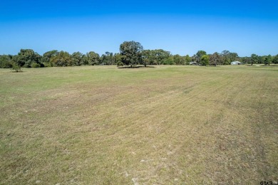 Stunning 52+/- Acre Property in Mineola - Endless Potential! on Mineola Country Club in Texas - for sale on GolfHomes.com, golf home, golf lot