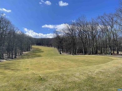 This gorgeous mountaintop golf front homesite on the 3rd green on Devils Knob in Virginia - for sale on GolfHomes.com, golf home, golf lot