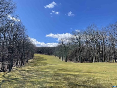 This gorgeous mountaintop golf front homesite on the 3rd green on Devils Knob in Virginia - for sale on GolfHomes.com, golf home, golf lot