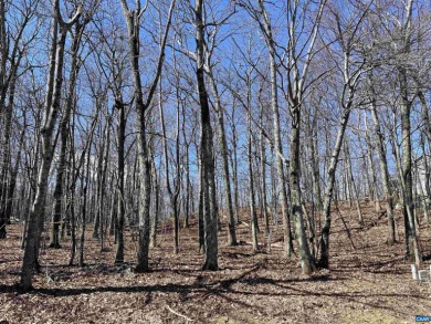 This gorgeous mountaintop golf front homesite on the 3rd green on Devils Knob in Virginia - for sale on GolfHomes.com, golf home, golf lot