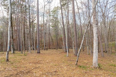 Discover an exceptional opportunity to build your dream on Reynolds Lake Oconee - The Oconee in Georgia - for sale on GolfHomes.com, golf home, golf lot