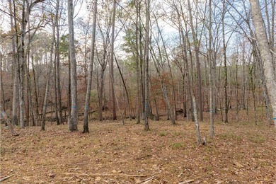 Discover an exceptional opportunity to build your dream on Reynolds Lake Oconee - The Oconee in Georgia - for sale on GolfHomes.com, golf home, golf lot