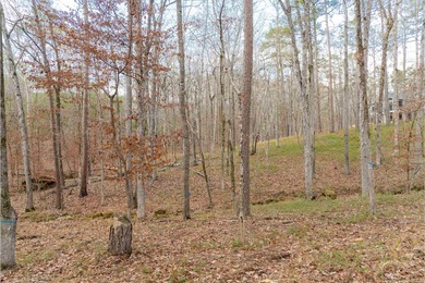 Discover an exceptional opportunity to build your dream on Reynolds Lake Oconee - The Oconee in Georgia - for sale on GolfHomes.com, golf home, golf lot