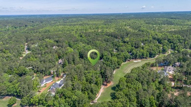 Panoramic view above #3 tee of Harbor Club's top rated Morrish on Harbor Club Golf and Country Club in Georgia - for sale on GolfHomes.com, golf home, golf lot