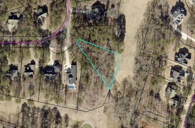 Panoramic view above #3 tee of Harbor Club's top rated Morrish on Harbor Club Golf and Country Club in Georgia - for sale on GolfHomes.com, golf home, golf lot