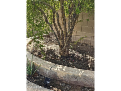 Below Appraisal. Want the biggest lot in the subdivision? on Poston Butte Golf Club in Arizona - for sale on GolfHomes.com, golf home, golf lot