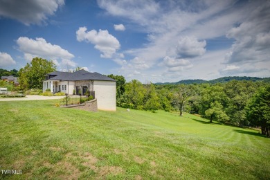 You can walk through Hundreds of Homes and I can Promise you on Tennessee Golf Trail At Warriors Path in Tennessee - for sale on GolfHomes.com, golf home, golf lot