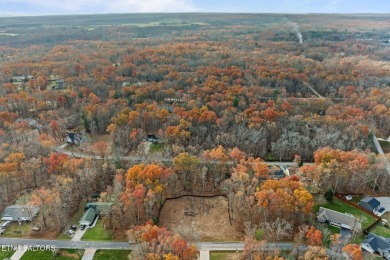 New Construction in Lake Tansi!

Introducing your future home in on Lake Tansi Village Country Club in Tennessee - for sale on GolfHomes.com, golf home, golf lot