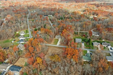 New Construction in Lake Tansi!

Introducing your future home in on Lake Tansi Village Country Club in Tennessee - for sale on GolfHomes.com, golf home, golf lot