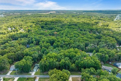 Under Construction in Lake Tansi!

Introducing your future home on Lake Tansi Village Country Club in Tennessee - for sale on GolfHomes.com, golf home, golf lot