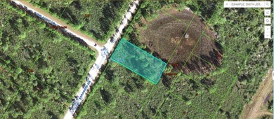 This 0.52-acre vacant residential lot on Sarasota Drive on Indian Lake Estates Golf and Country Club in Florida - for sale on GolfHomes.com, golf home, golf lot