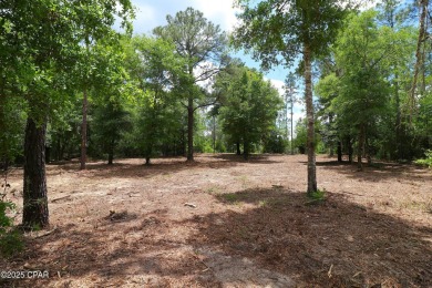 Check out this Beautiful Golf Course lot located on the 13th on Sunny Hills Golf and Country Club in Florida - for sale on GolfHomes.com, golf home, golf lot