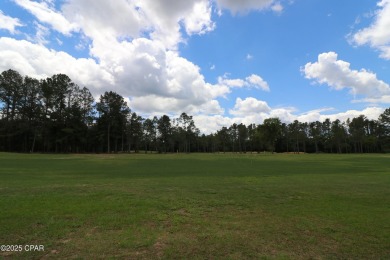 Check out this Beautiful Golf Course lot located on the 13th on Sunny Hills Golf and Country Club in Florida - for sale on GolfHomes.com, golf home, golf lot