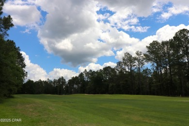 Check out this Beautiful Golf Course lot located on the 13th on Sunny Hills Golf and Country Club in Florida - for sale on GolfHomes.com, golf home, golf lot