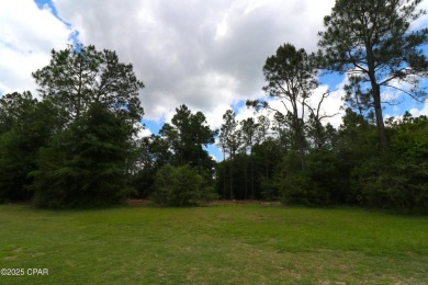 Check out this Beautiful Golf Course lot located on the 13th on Sunny Hills Golf and Country Club in Florida - for sale on GolfHomes.com, golf home, golf lot