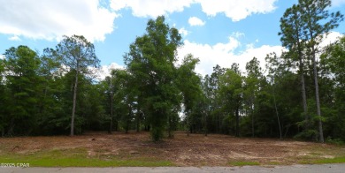 Check out this Beautiful Golf Course lot located on the 13th on Sunny Hills Golf and Country Club in Florida - for sale on GolfHomes.com, golf home, golf lot