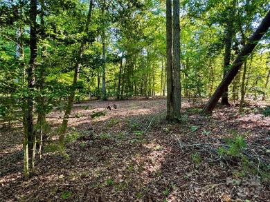 Beautiful lake front nearly flat lot located in the Long Cove on Old North State Club at Uwharrie Point Golf community in North Carolina - for sale on GolfHomes.com, golf home, golf lot