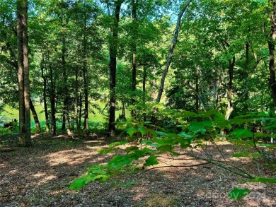 Beautiful lake front nearly flat lot located in the Long Cove on Old North State Club at Uwharrie Point Golf community in North Carolina - for sale on GolfHomes.com, golf home, golf lot