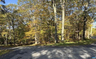 Build your mountain getaway or full-time home on this peaceful 0 on Devils Knob in Virginia - for sale on GolfHomes.com, golf home, golf lot