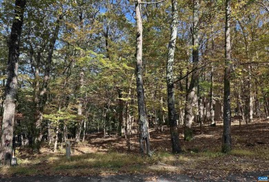 Build your mountain getaway or full-time home on this peaceful 0 on Devils Knob in Virginia - for sale on GolfHomes.com, golf home, golf lot