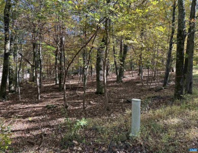 Build your mountain getaway or full-time home on this peaceful 0 on Devils Knob in Virginia - for sale on GolfHomes.com, golf home, golf lot