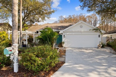 Welcome to 1675 Polo Club Dr, a home that makes it easy to slow on Tarpon Springs Golf Course in Florida - for sale on GolfHomes.com, golf home, golf lot