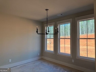 Luxury living awaits in River Forest, a premier swim, golf, and on The Club River Forest in Georgia - for sale on GolfHomes.com, golf home, golf lot