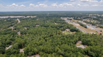 Are you tired of houses on top of houses and looking for a on Juliette Falls Golf and Spa Club in Florida - for sale on GolfHomes.com, golf home, golf lot