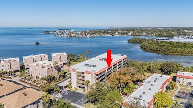 Opportunity knocks! Top-floor fully furnished split 2-bedroom, 2 on The Dunedin Country Club in Florida - for sale on GolfHomes.com, golf home, golf lot