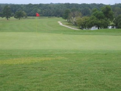 NEW BUYER INCENTIVE-SELLER WILL PAY UP TO $15,000 IN BUYER on Browns Mill Golf Course in Georgia - for sale on GolfHomes.com, golf home, golf lot