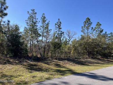 This over-sized corner lot is located in Unit 1 of the peaceful on Sunny Hills Golf and Country Club in Florida - for sale on GolfHomes.com, golf home, golf lot