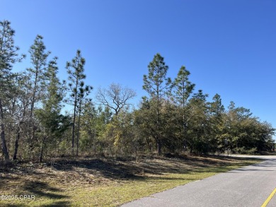 This over-sized corner lot is located in Unit 1 of the peaceful on Sunny Hills Golf and Country Club in Florida - for sale on GolfHomes.com, golf home, golf lot