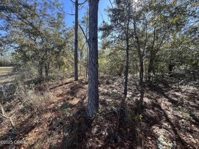 This over-sized corner lot is located in Unit 1 of the peaceful on Sunny Hills Golf and Country Club in Florida - for sale on GolfHomes.com, golf home, golf lot