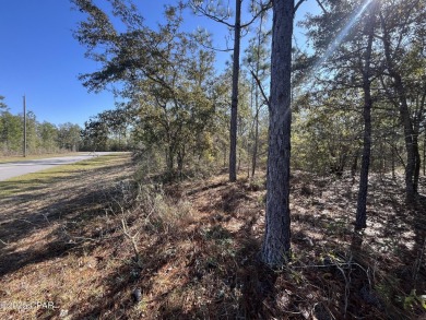 This over-sized corner lot is located in Unit 1 of the peaceful on Sunny Hills Golf and Country Club in Florida - for sale on GolfHomes.com, golf home, golf lot